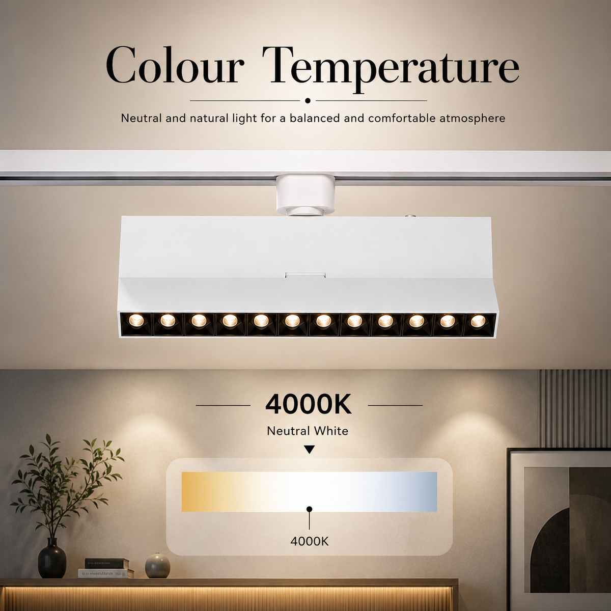Proiector LED pentru șină FSL FST932, 30 W, 4000 K, negru