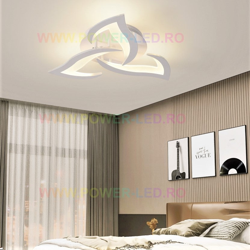 6905-3WH-B.jpg