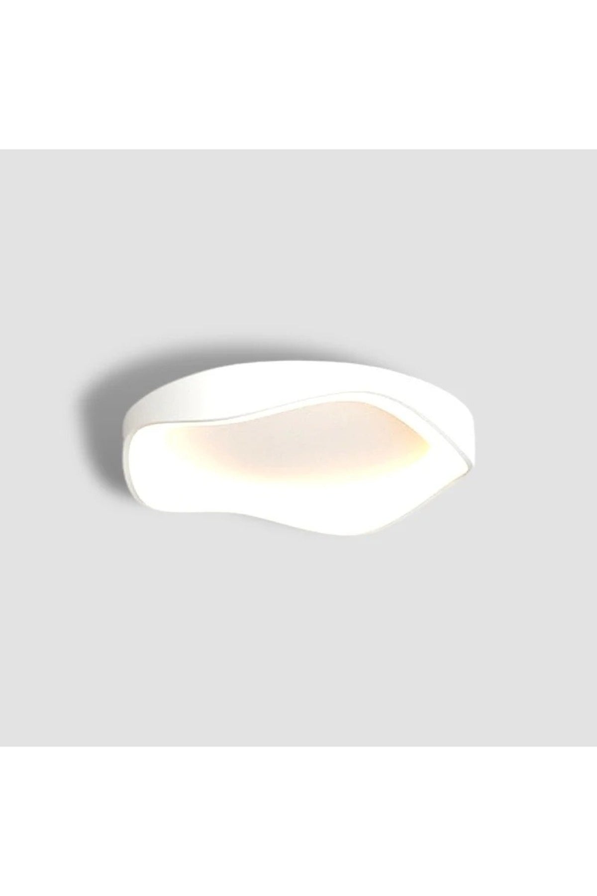 1_org_zoom-5.jpg