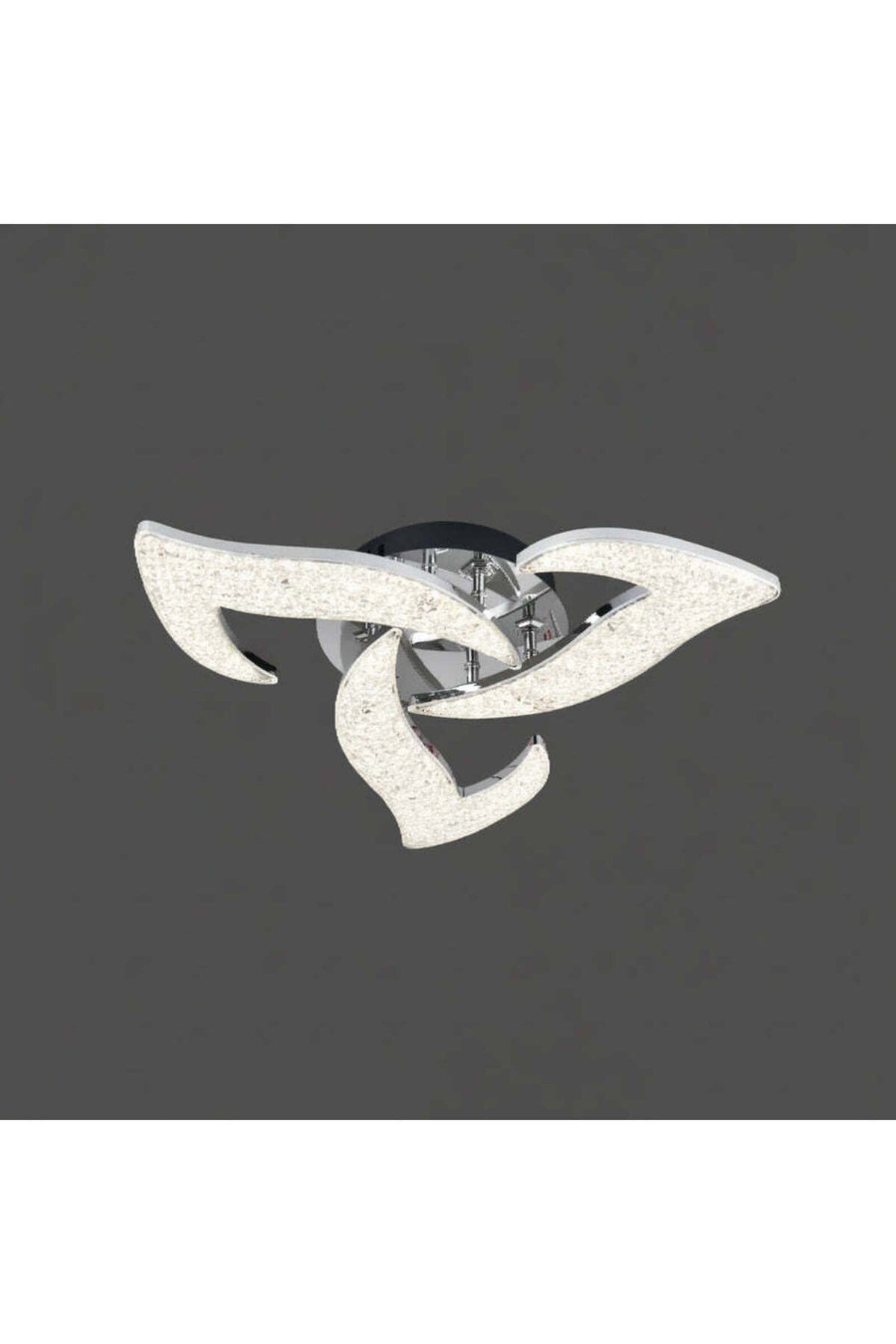 1_org_zoom-284.jpg