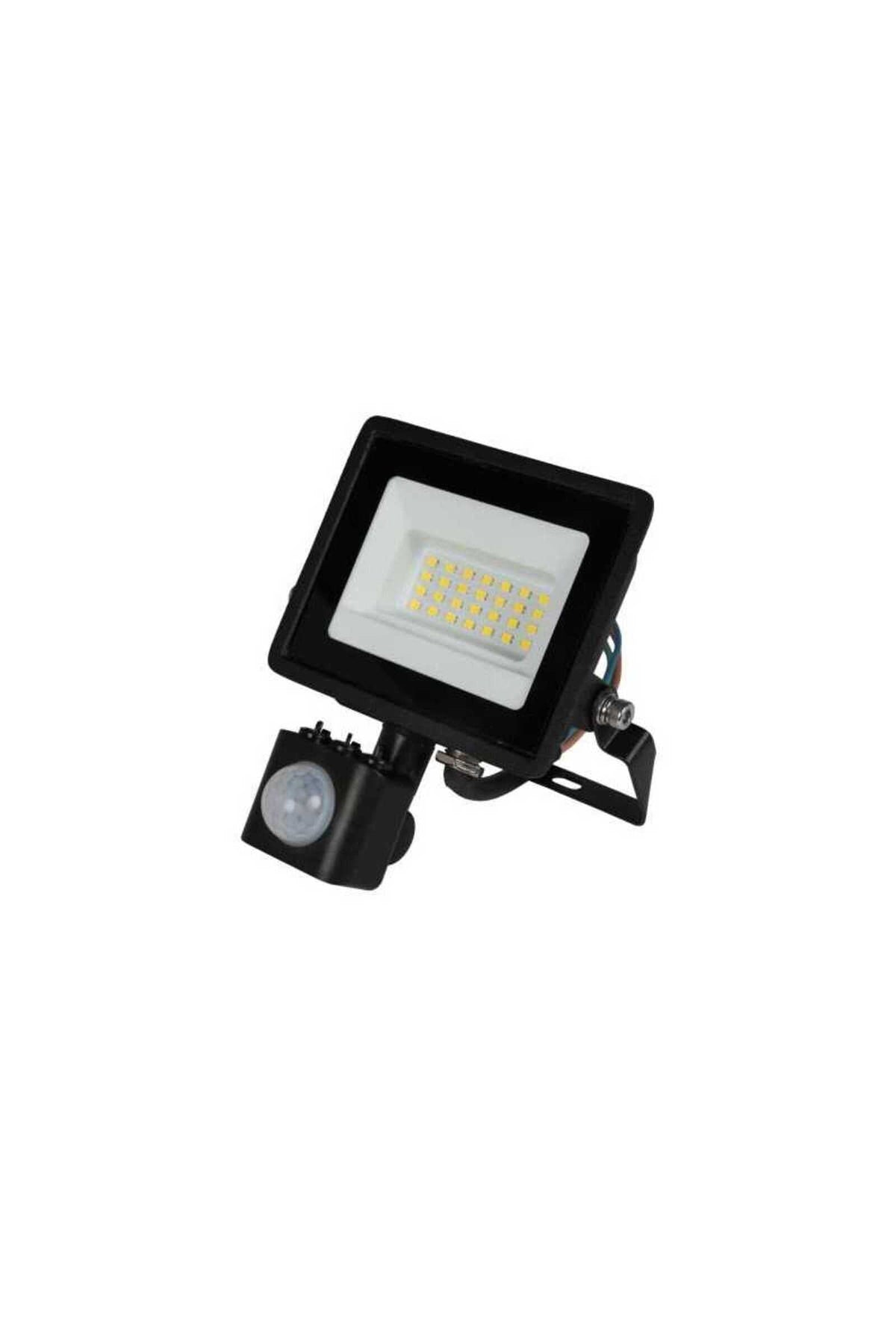 Proiector LED de exterior cu senzor, 10 W, 850 lm, 6500 K, lumină rece