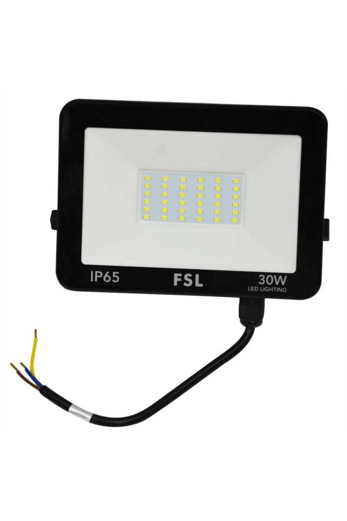 Proiector LED pentru exterior, 30 W, 3000 lm, 6500 K, FSF21