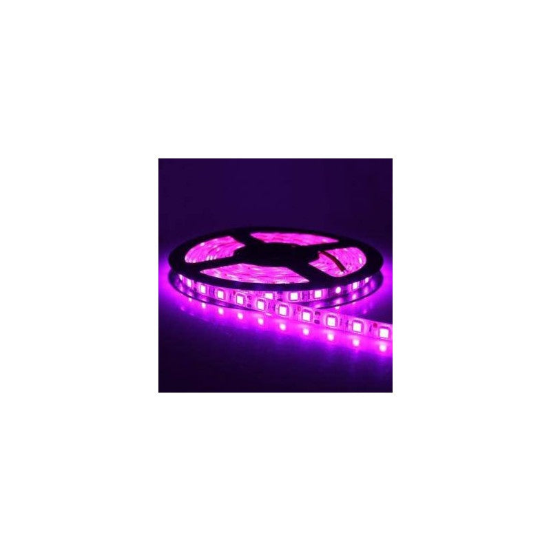 Bandă LED 5050 MOV, 12 V, 14,4 W/m, IP20, pentru interior