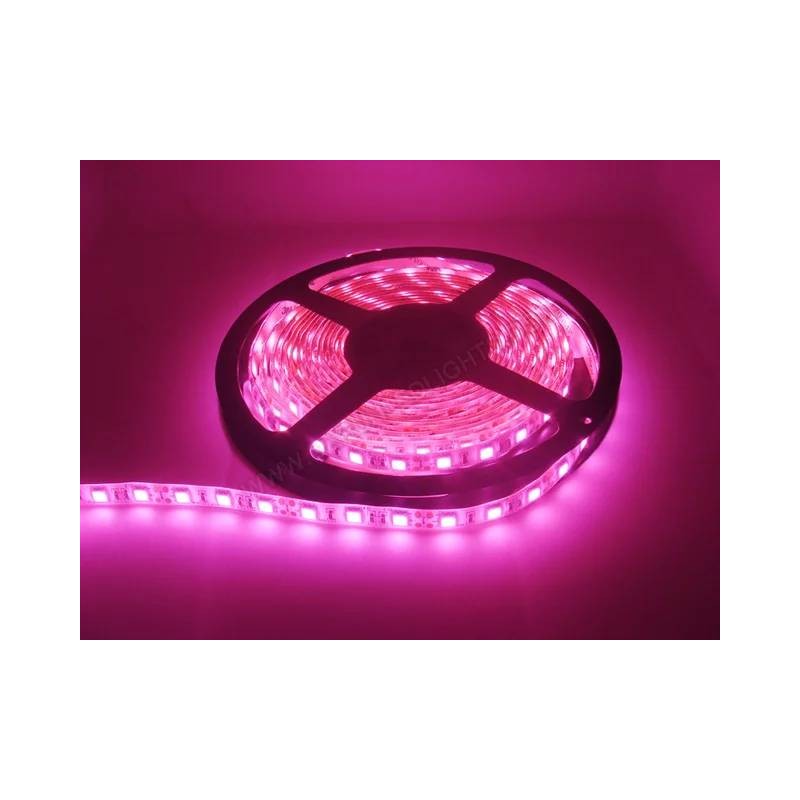 Bandă LED 12 V, 5050, roz, 14,4 W/m, IP20, pentru interior