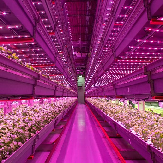 Tub LED T8, 16 W, 1212 mm, soclu G13, lumină albă caldă